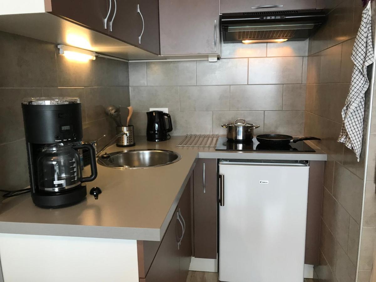 Appartement 4 Personnes Au Pied Des Pistes La Pierre Saint Martin Eksteriør bilde